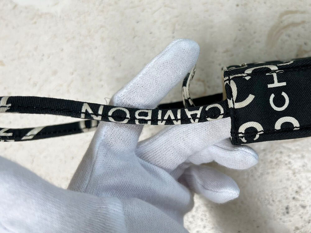 CHANEL BY THE SEA LINE MULTI MINI POUCH
