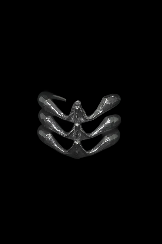 PRONG RING